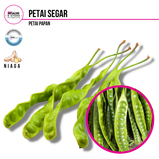 Petai Segar | Halia Niaga - MyGalore