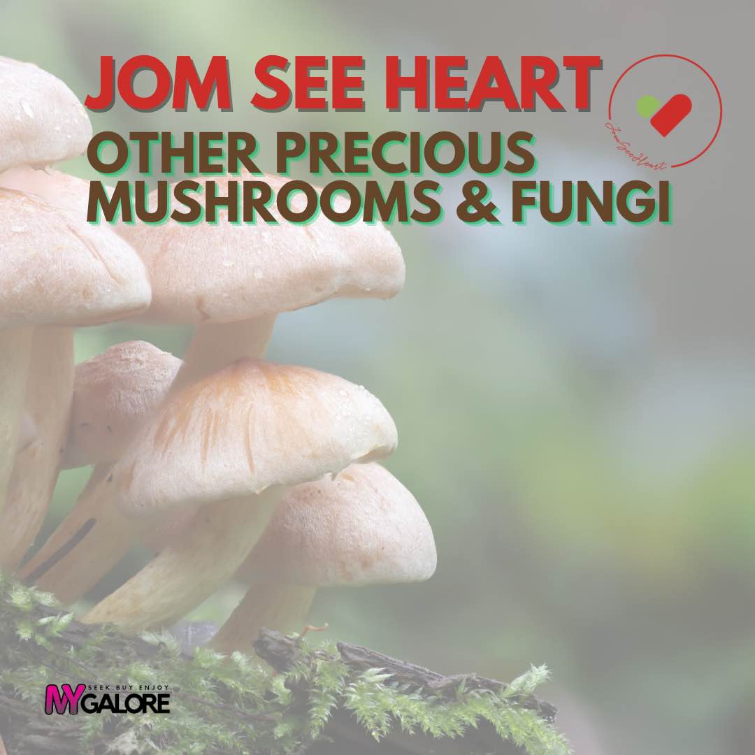 JSH Other Precious Mushrooms & Fungi